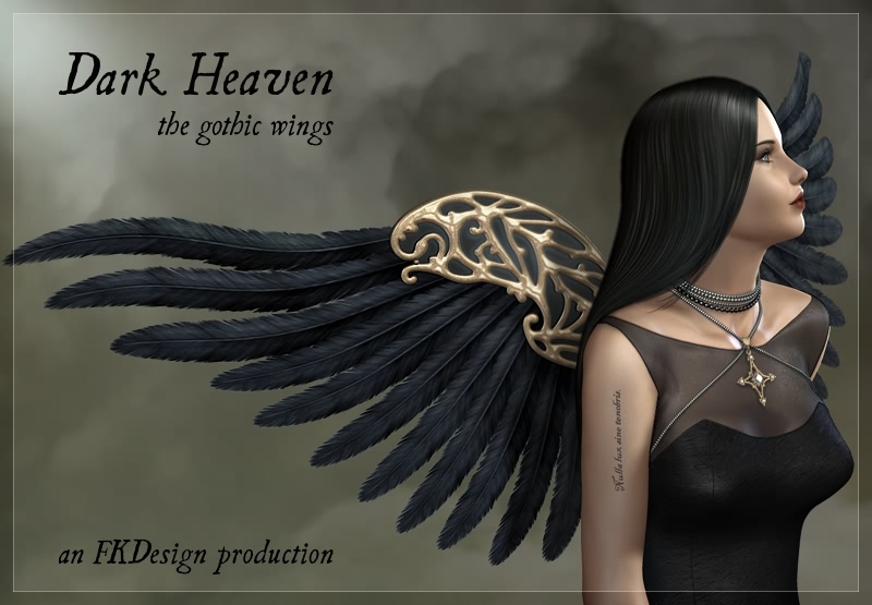 Dark Heaven Wings by N/A