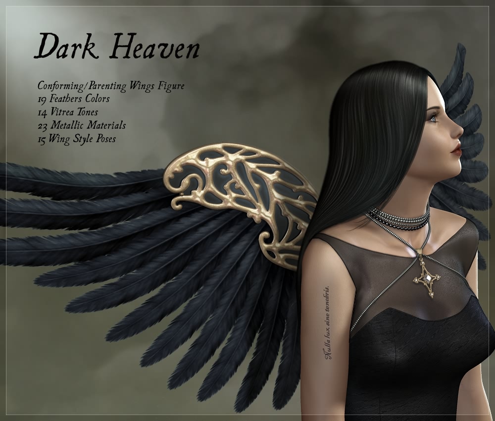 Dark Heaven Wings by N/A
