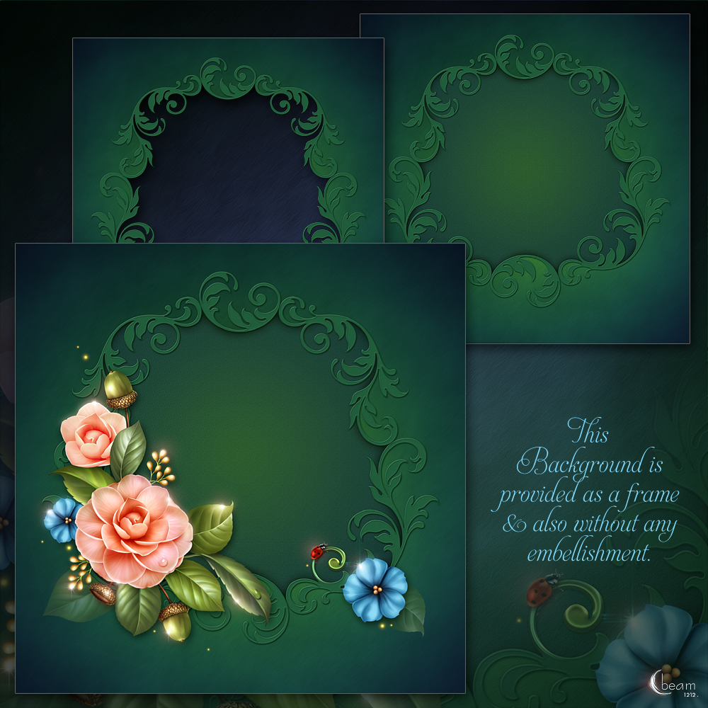 Moonbeam's Camellia's & Friends by N/A
