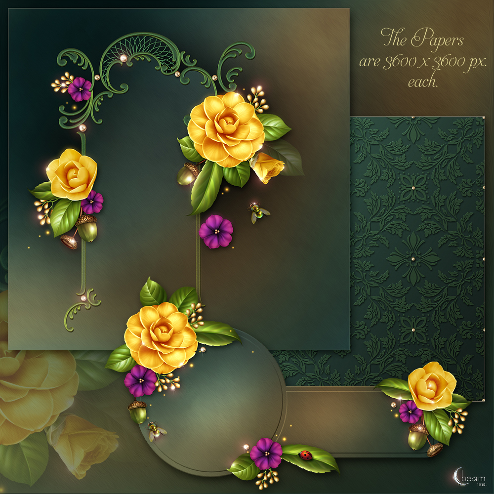 Moonbeam's Camellia's & Friends by N/A