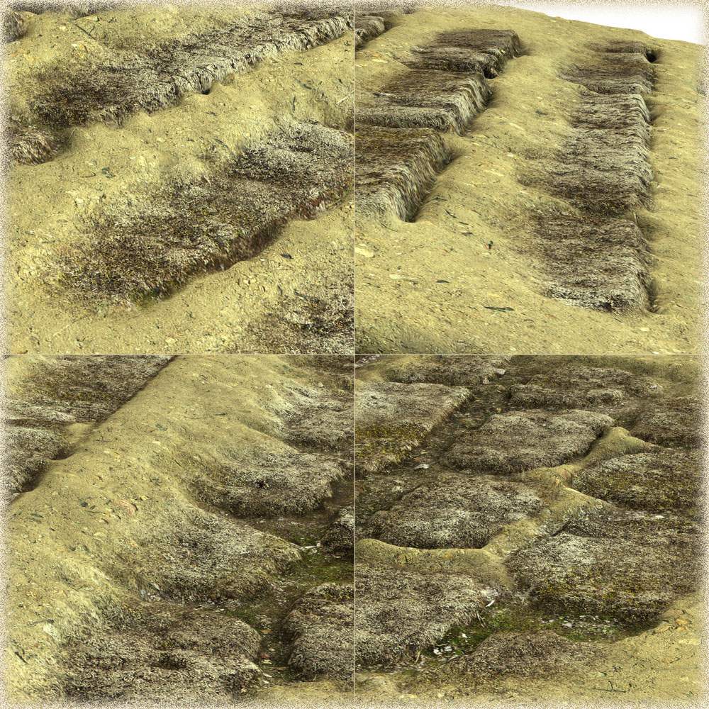 Ground Pack~Ancient Ways by N/A