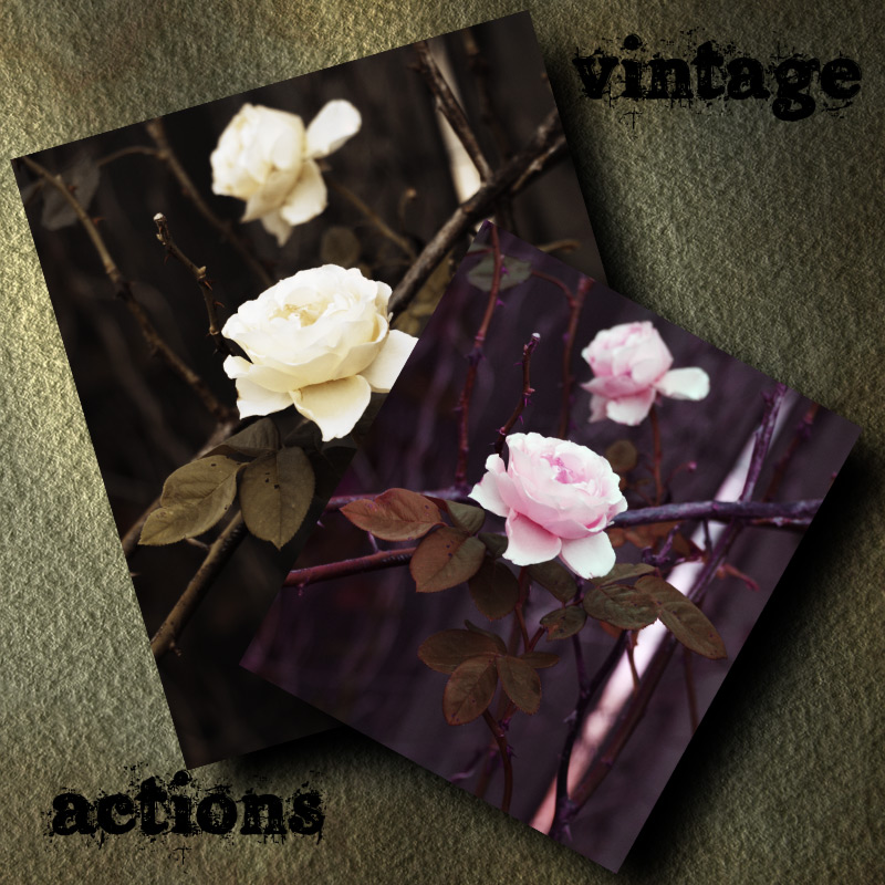 Vintage Actions by N/A