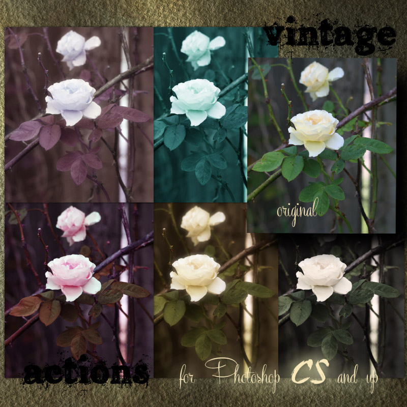 Vintage Actions by N/A