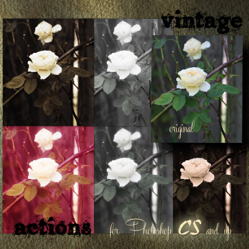 Vintage Actions by N/A