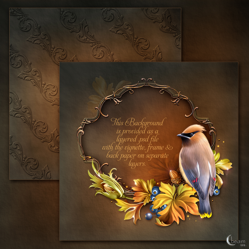 Moonbeam's Cuteness in Autumn by N/A