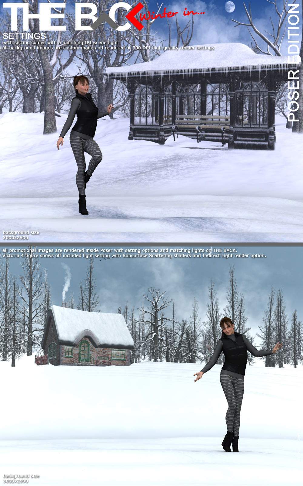 Winter in THE BACK - POSER by N/A