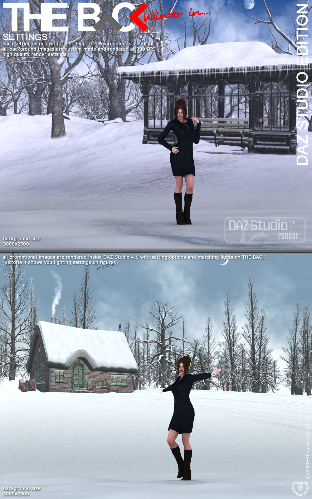 Winter in THE BACK - DAZ Studio by N/A