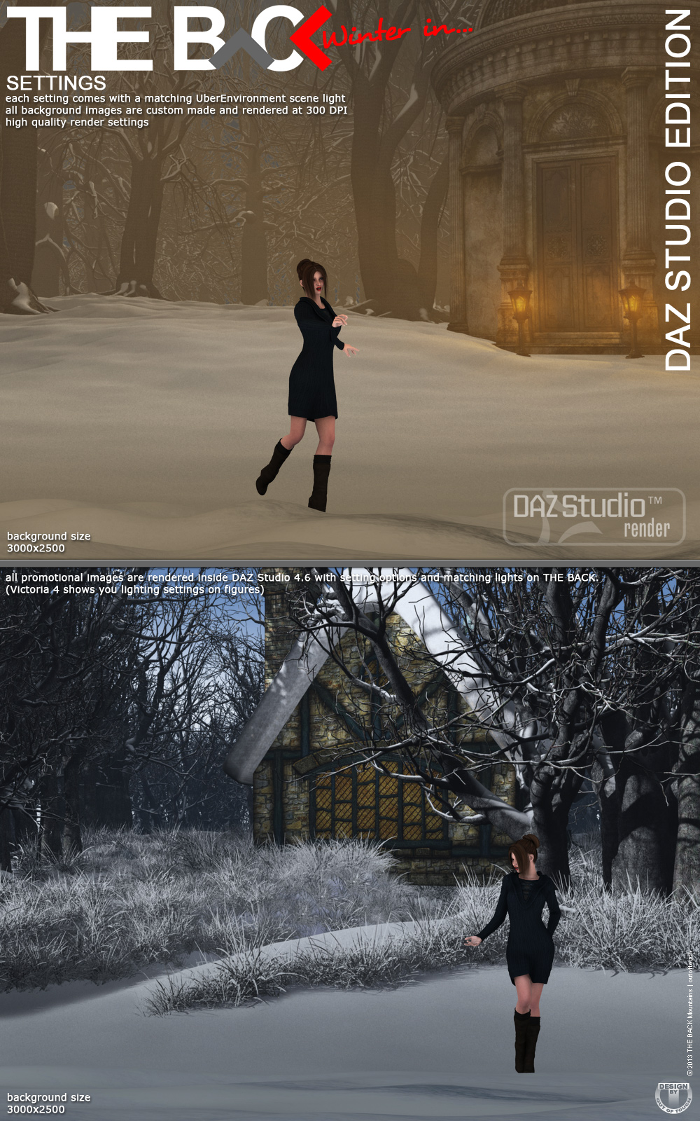 Winter in THE BACK - DAZ Studio by N/A