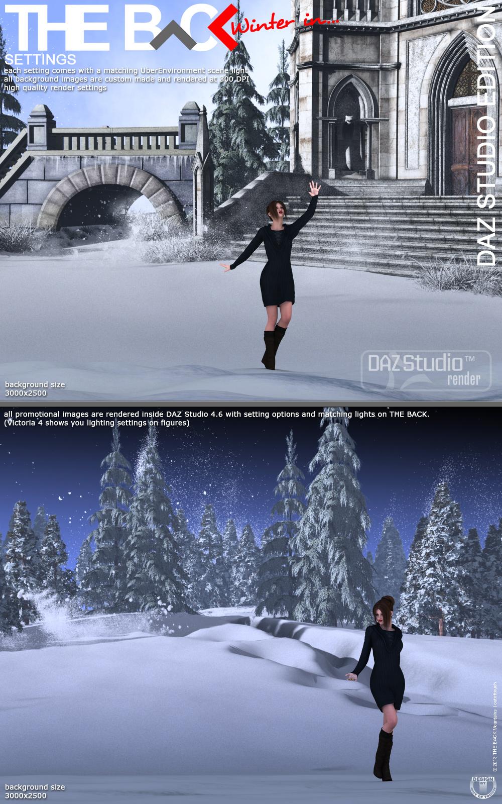 Winter in THE BACK - DAZ Studio by N/A