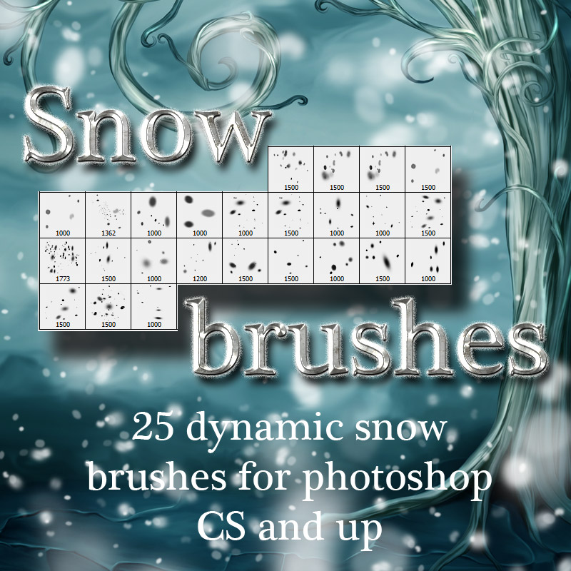 Snow Brushes by N/A