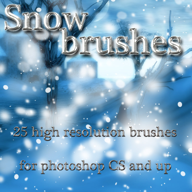 Snow Brushes by N/A