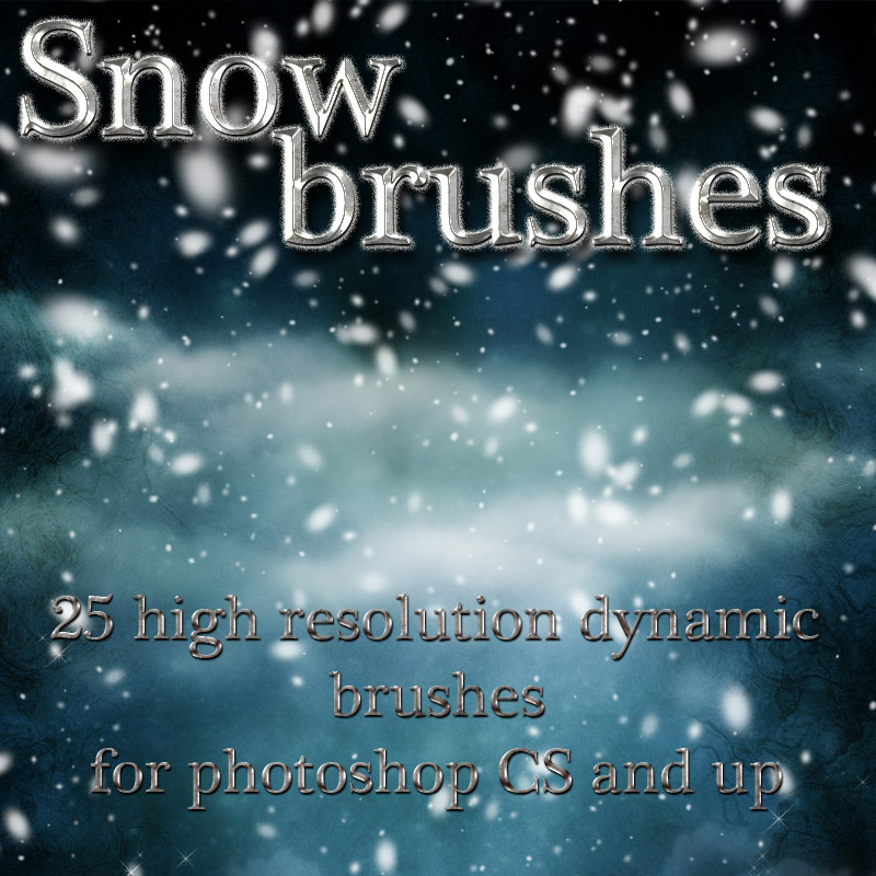 Snow Brushes by N/A