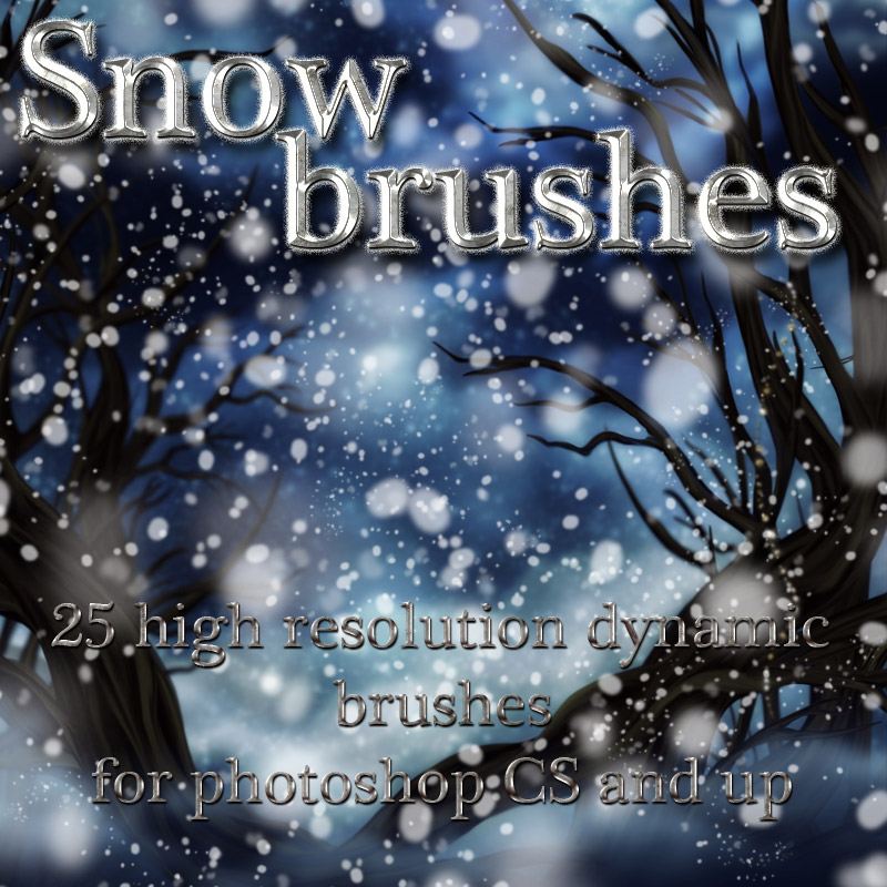 Snow Brushes by N/A