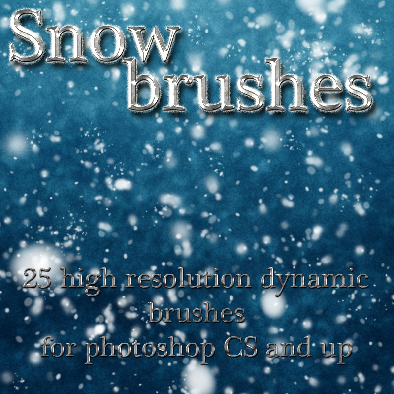 Snow Brushes by N/A