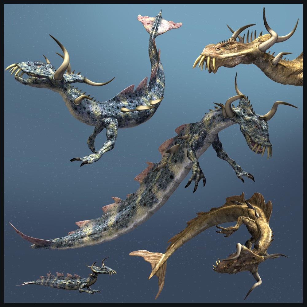 Draccer DR by N/A
