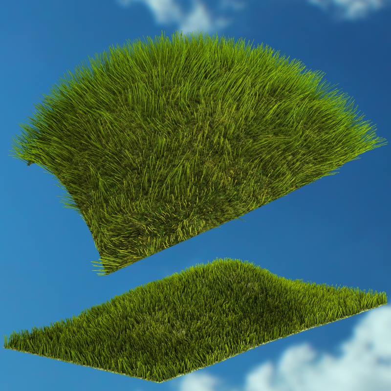 Grass Designer by N/A