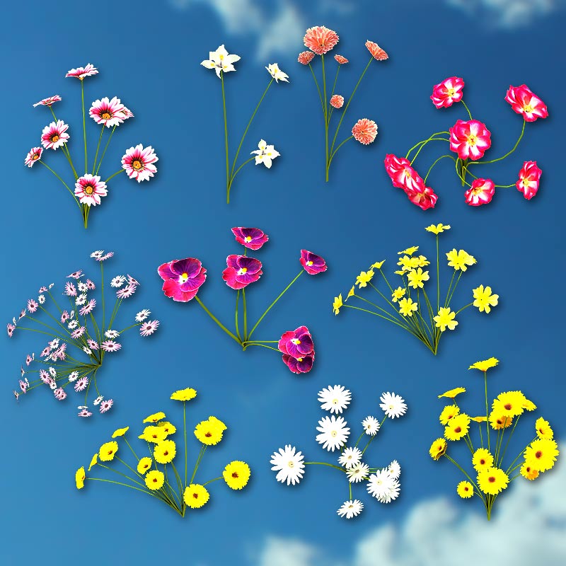 Grass Designer by N/A