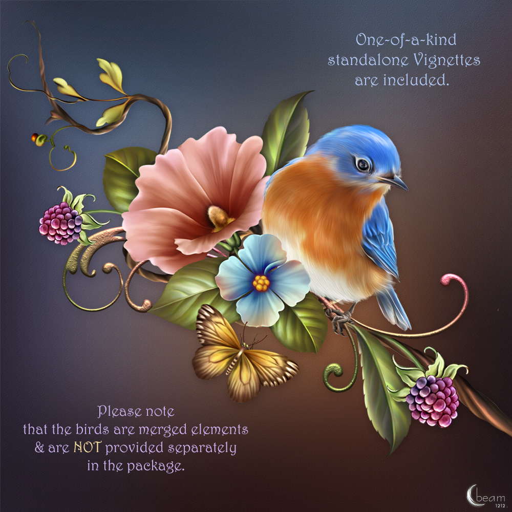 Moonbeam's Love me Tendre by N/A