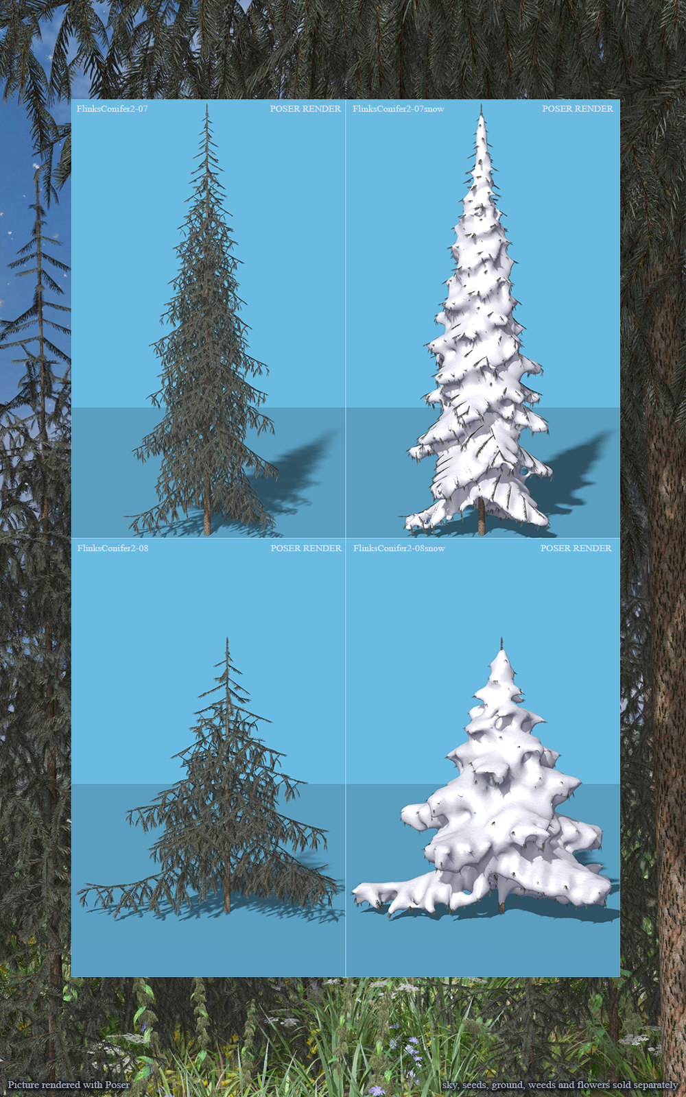 Flinks Conifer 2 by N/A
