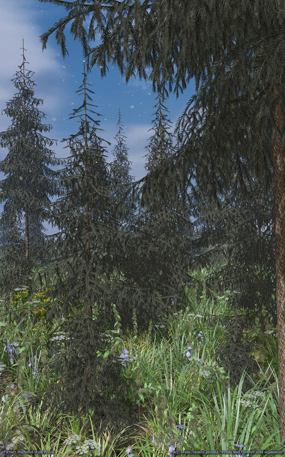 Flinks Conifer 2 by N/A