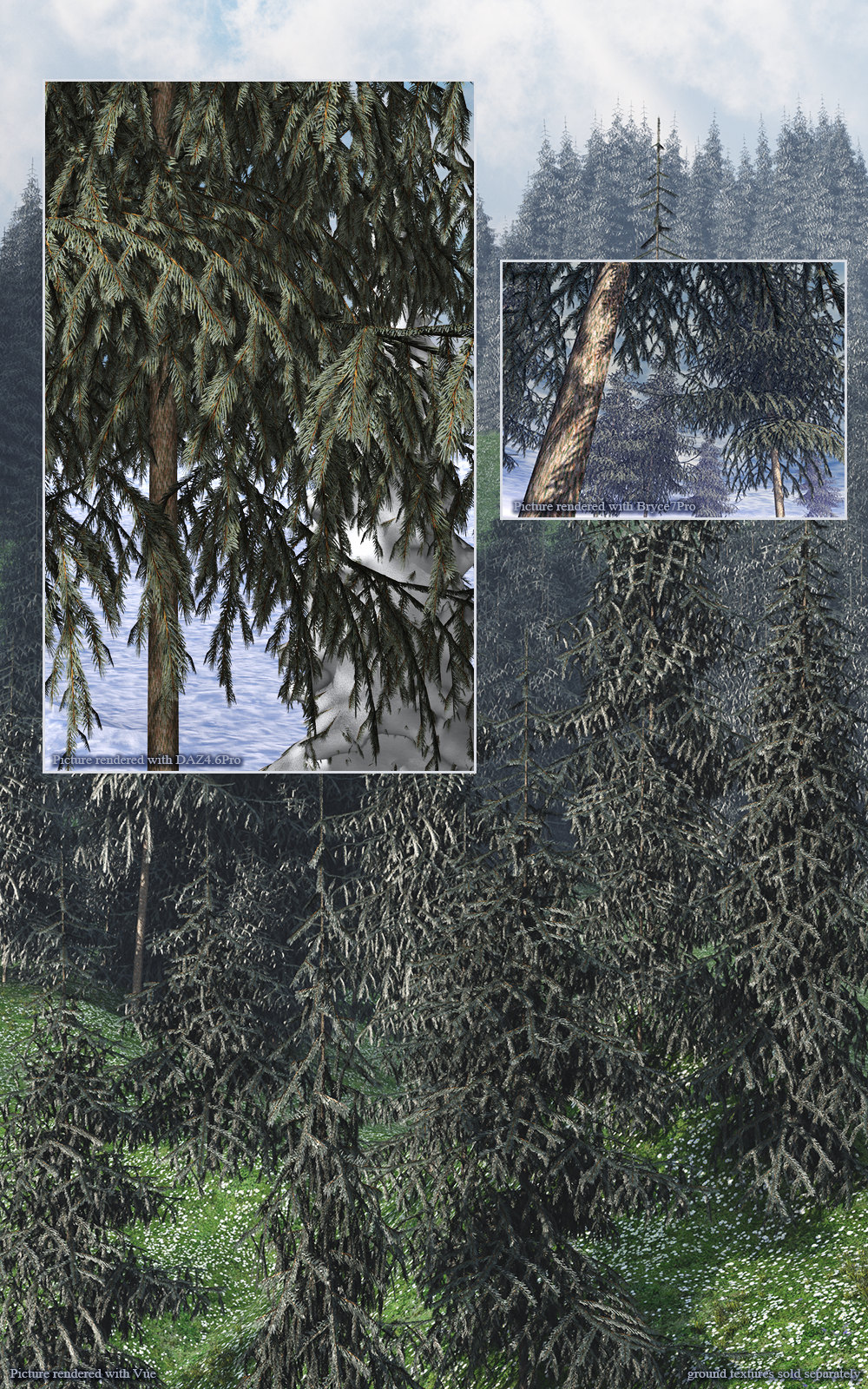 Flinks Conifer 2 by N/A