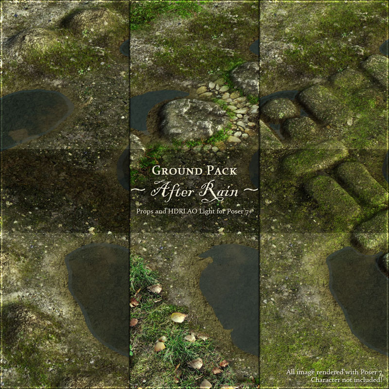 Ground Pack 2~After Rain by N/A