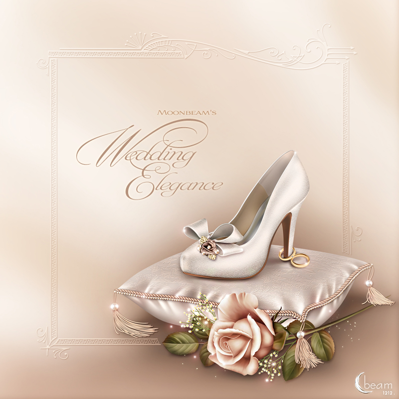 Moonbeam's Wedding Elegance by N/A