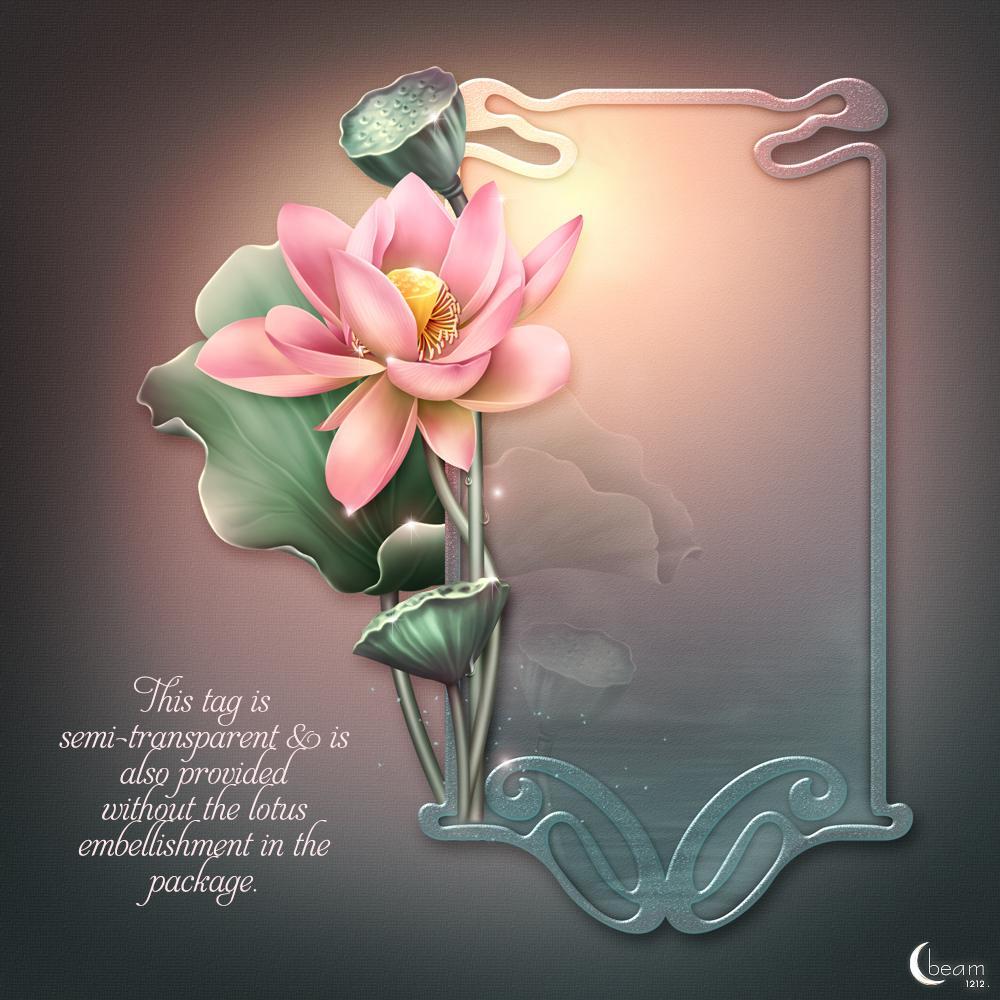 Moonbeam's In Love of Lotus by N/A