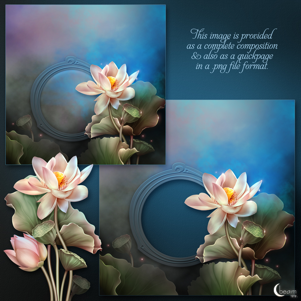 Moonbeam's In Love of Lotus by N/A