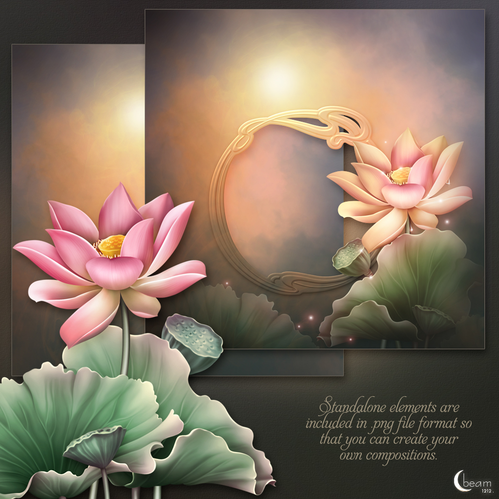 Moonbeam's In Love of Lotus by N/A