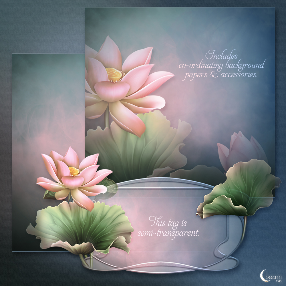 Moonbeam's In Love of Lotus by N/A
