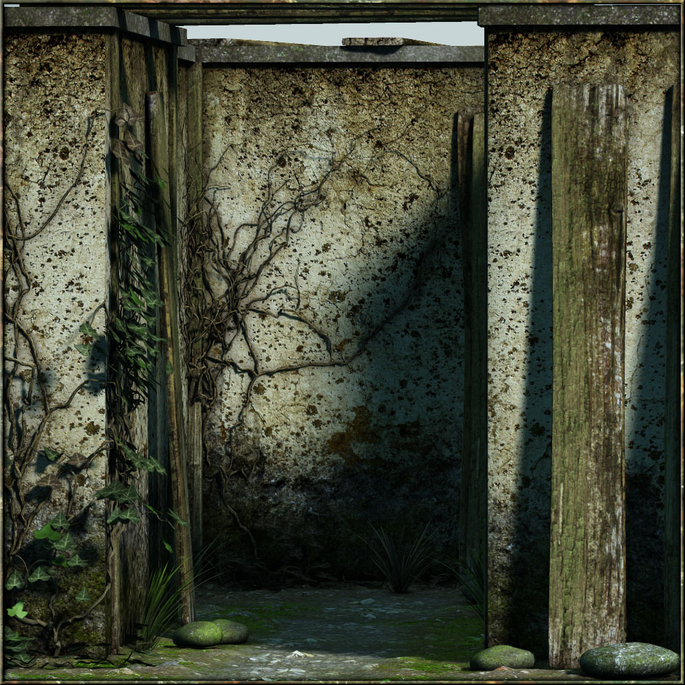 Path 12 by N/A