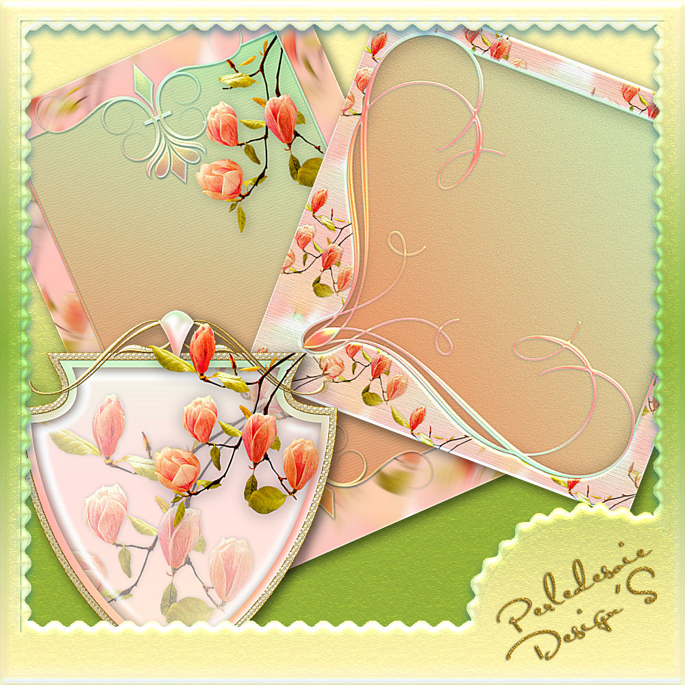 Coquin de Printemps by N/A