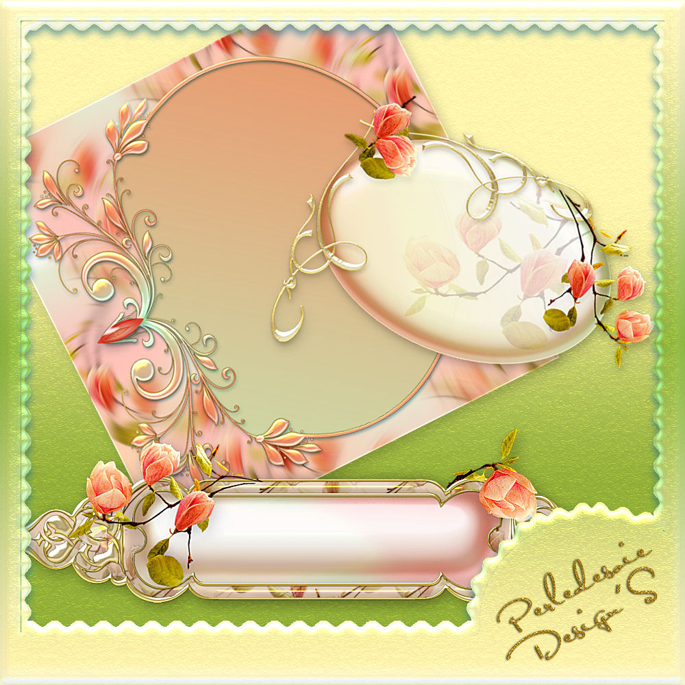 Coquin de Printemps by N/A