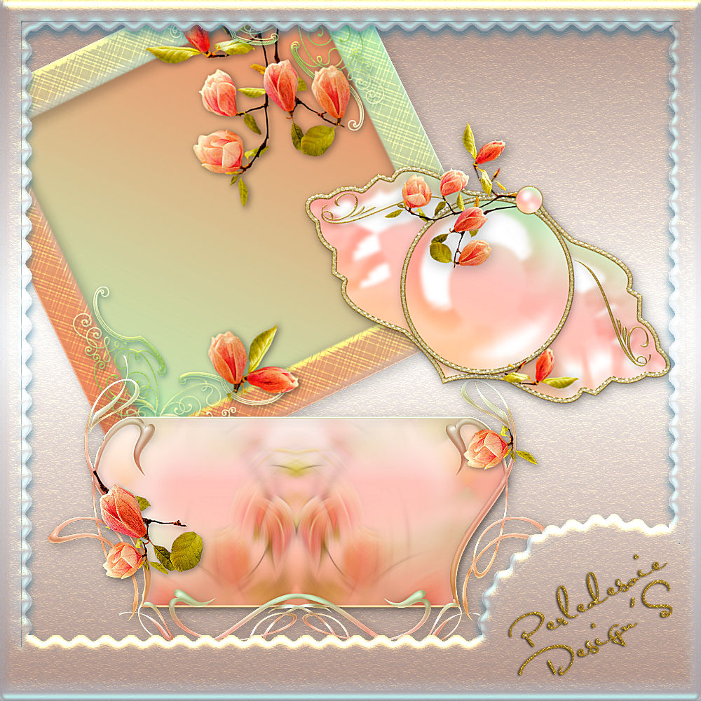 Coquin de Printemps by N/A