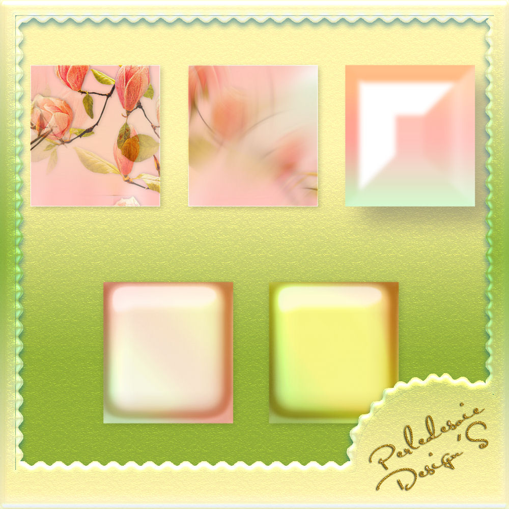 Coquin de Printemps by N/A