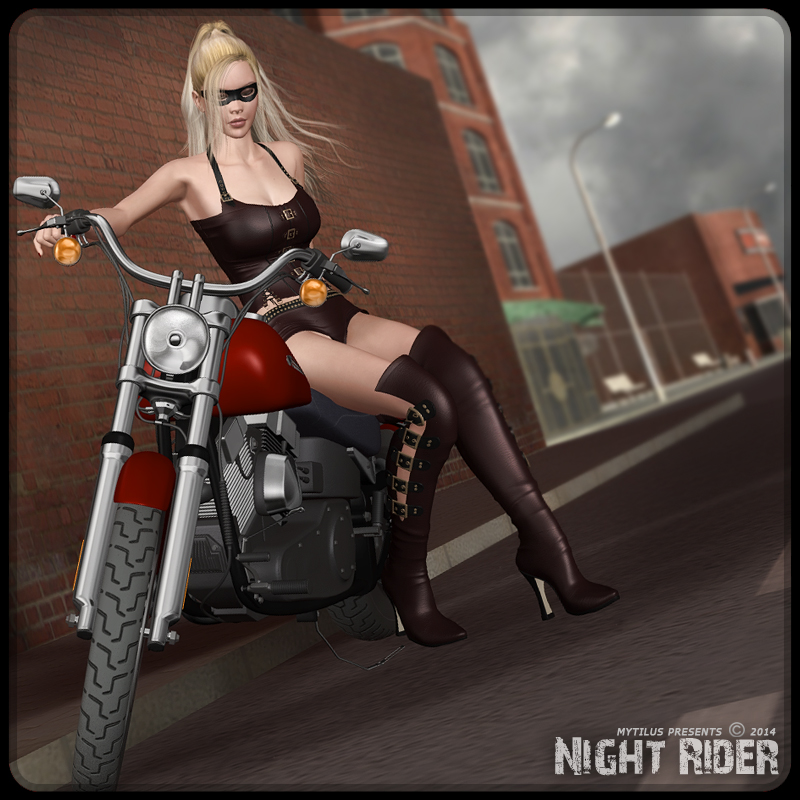 Night Rider by N/A