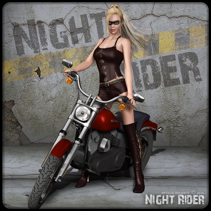 Night Rider by N/A