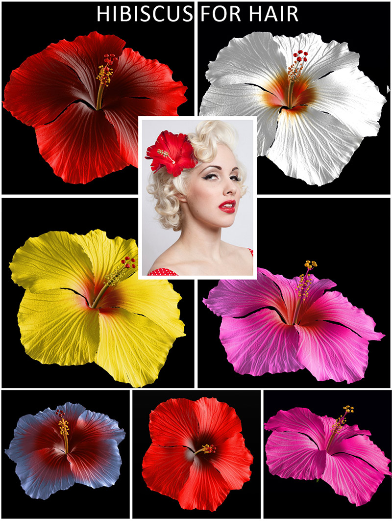 Hibiscus Flower for Hair by N/A