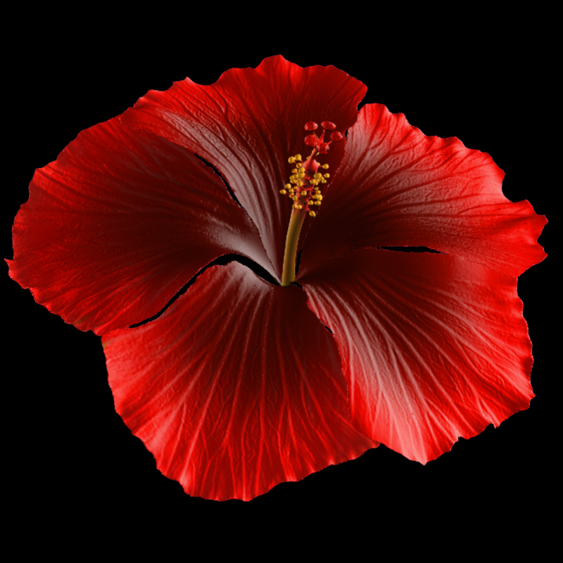Hibiscus Flower for Hair by N/A