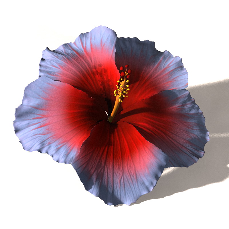 Hibiscus Flower for Hair by N/A