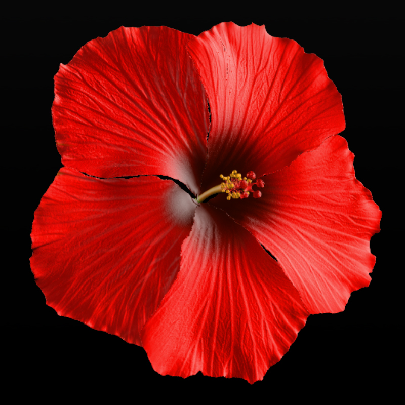 Hibiscus Flower for Hair by N/A