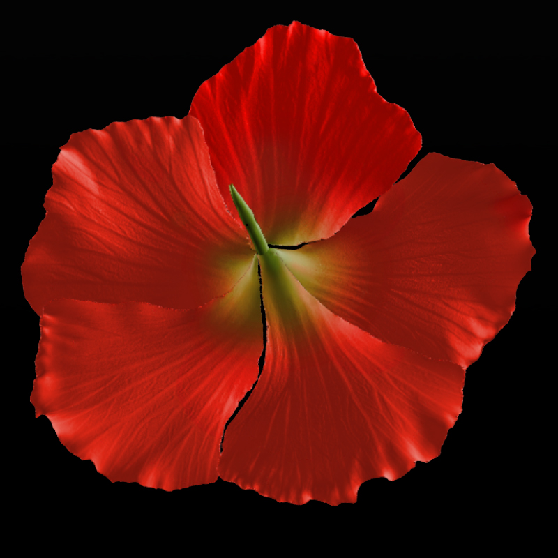 Hibiscus Flower for Hair by N/A