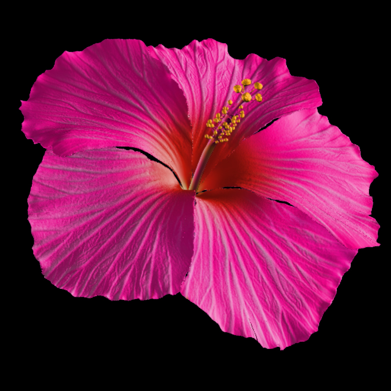 Hibiscus Flower for Hair by N/A
