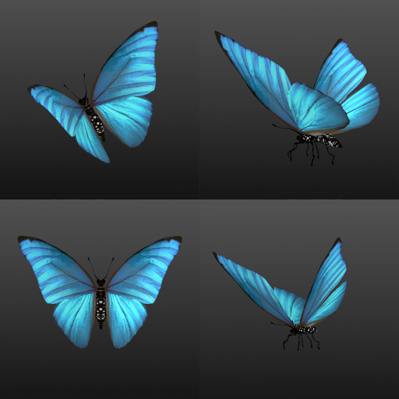 Butterflies by N/A