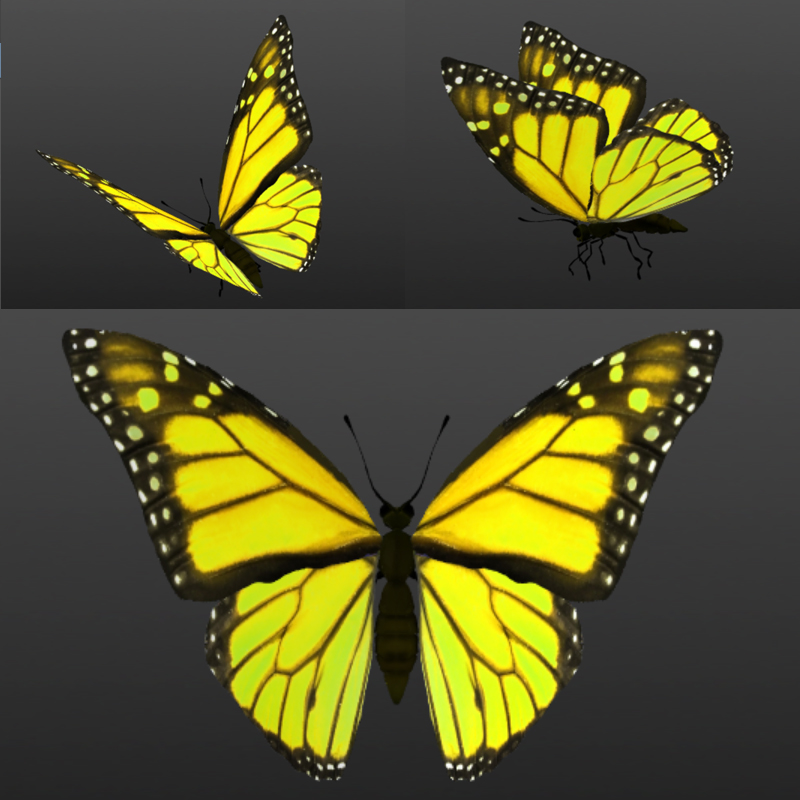 Butterflies by N/A