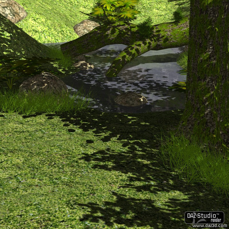The Lost Forest by N/A