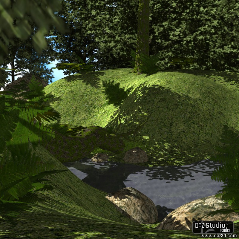 The Lost Forest by N/A