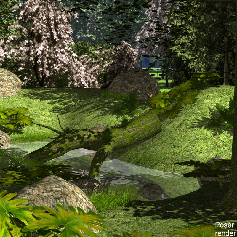 The Lost Forest for Poser by N/A