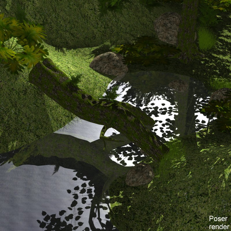 The Lost Forest for Poser by N/A